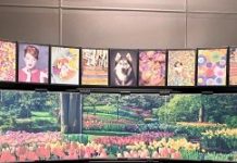 全彩電子紙預計2019量產 戶外看板功耗僅LCD之1%