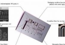 Imec大秀前瞻研究成果 半導體/生醫跨界整合潛力可觀