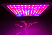 貿澤新園藝網站推廣植栽用LED感測器