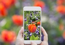 微控制器驅動無線模組 氣味信差昇華網路通訊體驗